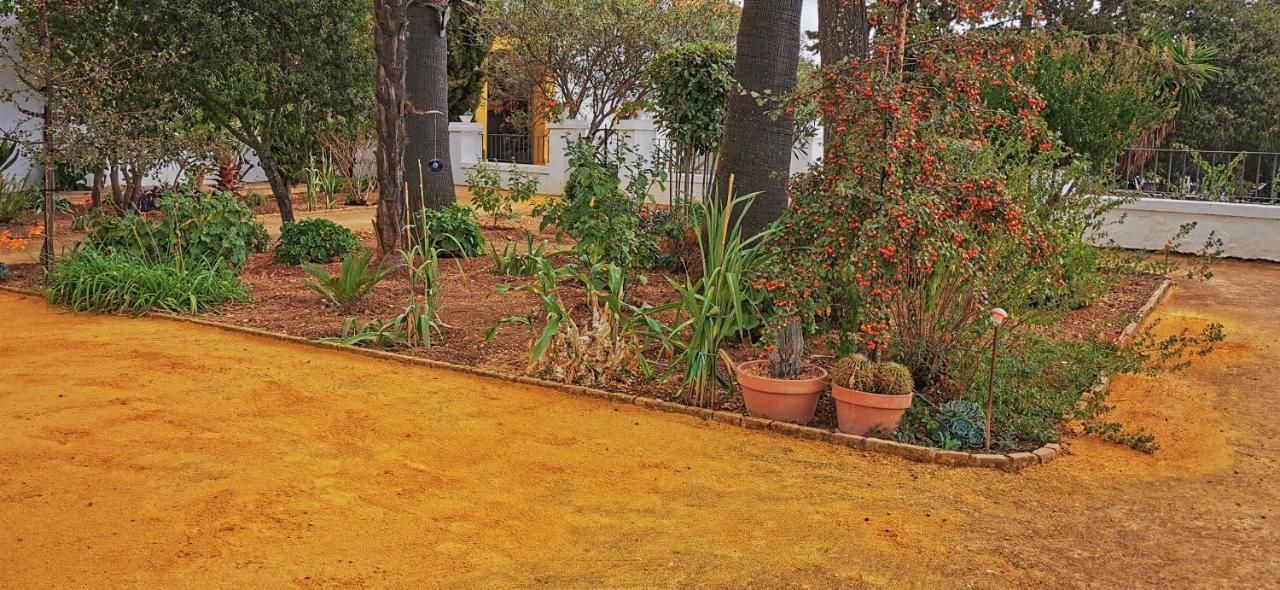 Villa La Fuensanta Hornachuelos Exterior foto